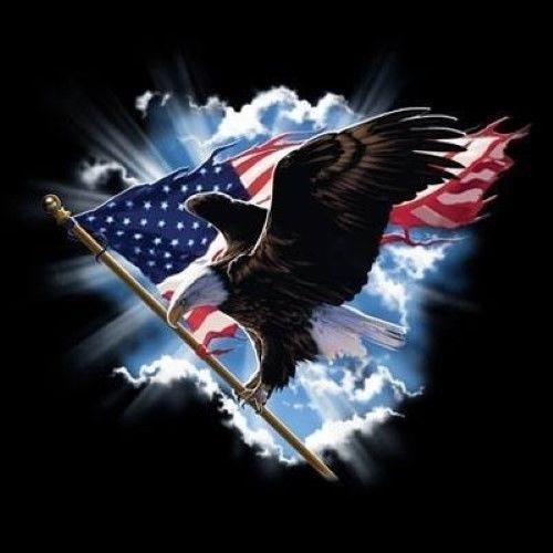 30169c0d887bac999e654b3133c0c81e