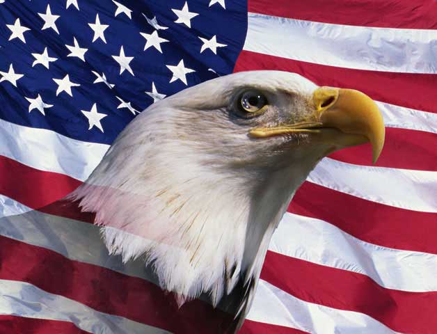 552923_Bald-Eagle-And-American-Flag