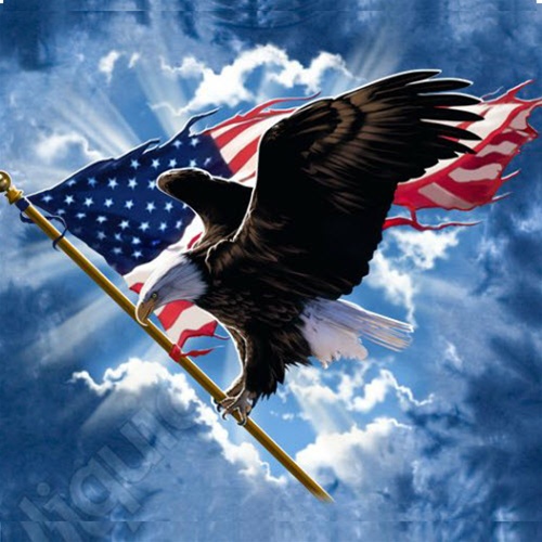 Flying-American-Flag-Eagle