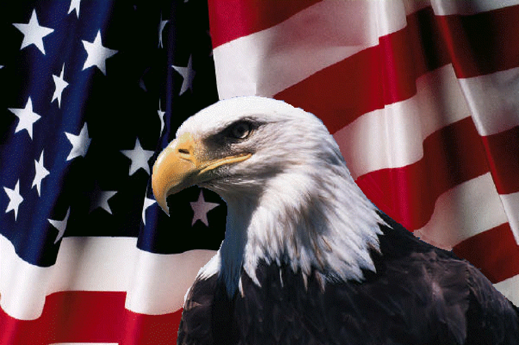 american-flag-and-eagle-2